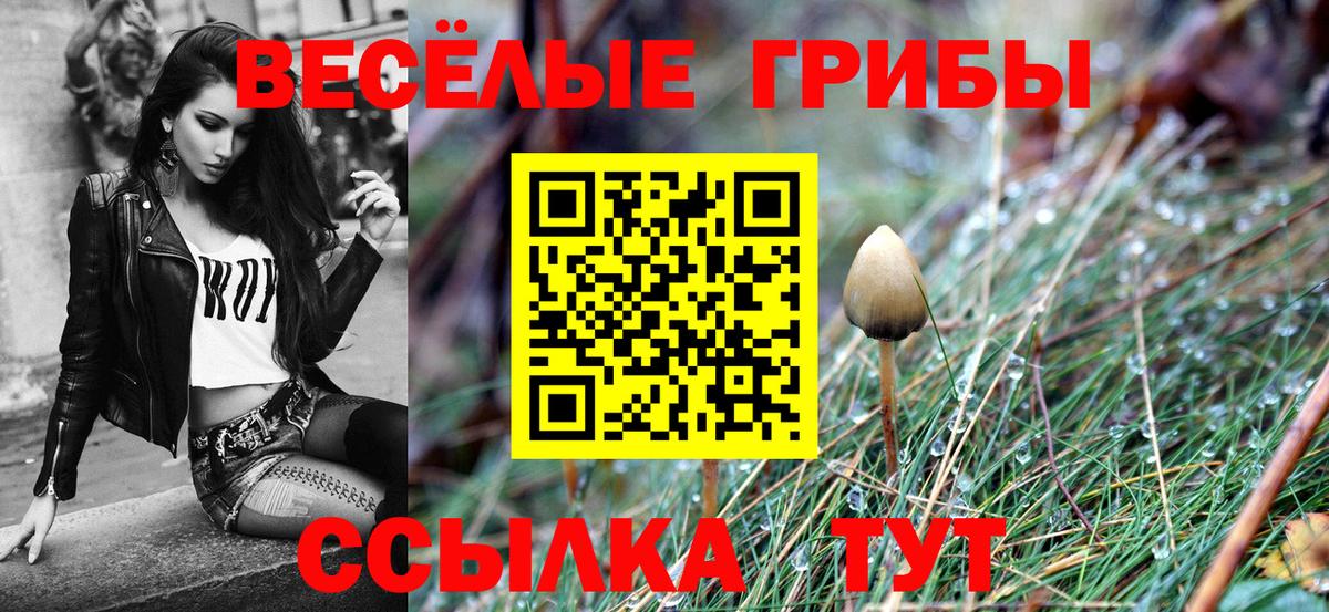 Псилоцибиновые грибы Psilocybine cubensis Крымск