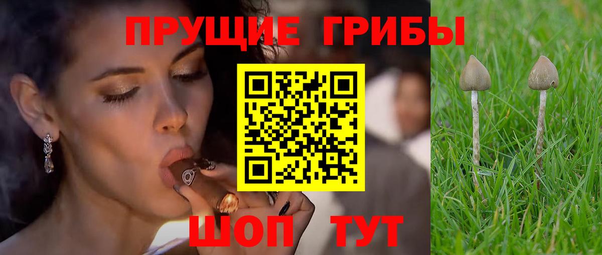 Галлюциногенные грибы прущие грибы  Вход с VPN  Псилоцибиновые грибы мицелий  Крымск 